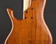Princess SC guitar