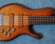 Princess SC guitar