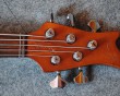 Princess SC guitar